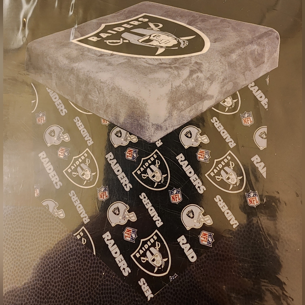 Raiders Sit & Store Folding Ottoman 15" - NFL - Las Vegas Raiders